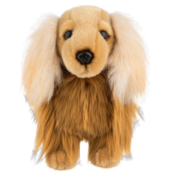 12" Heritage Long Hair Dachshund