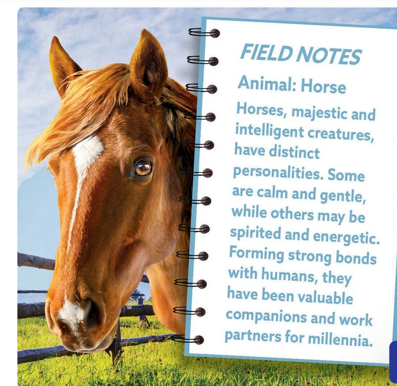 Horse 100pc Puzzle