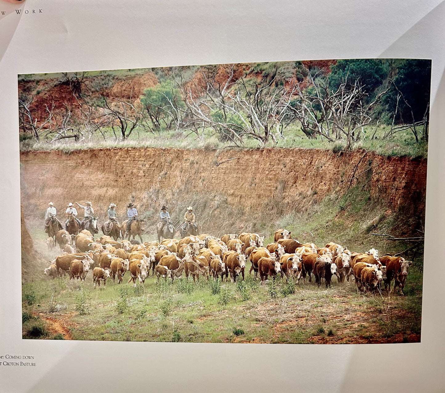 Pitchfork Country: The Photography of Bob Moorhouse