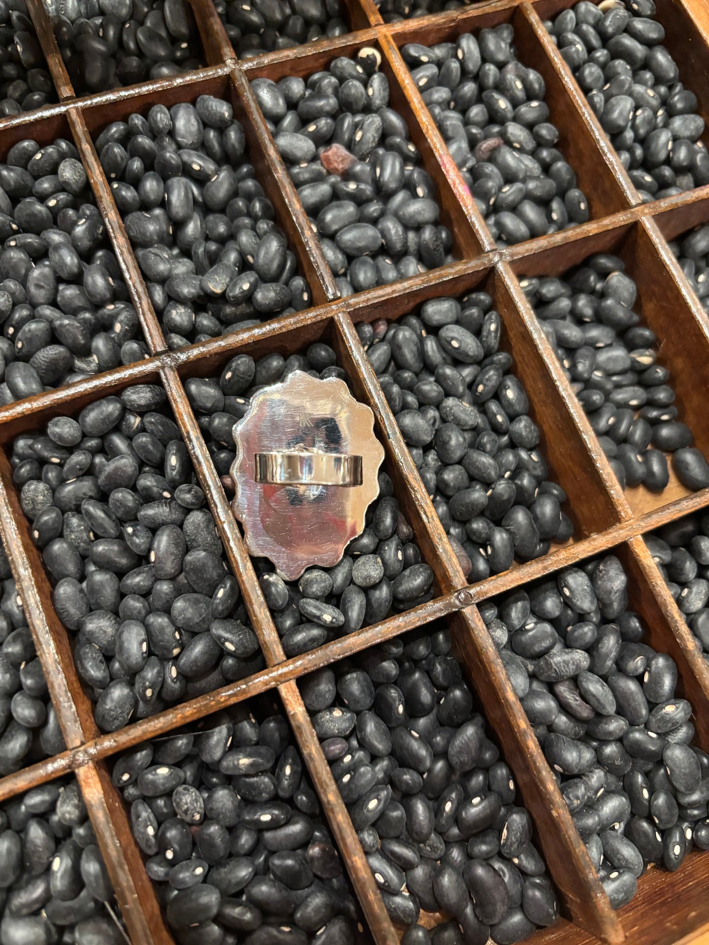 Queen of the Rodeo Ring