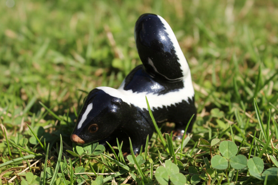 Black and white skunk figurine with 'little Critterz' branding on a white background