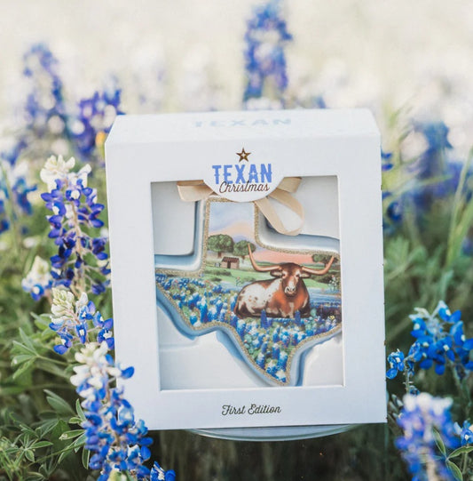 2024 State of Texas