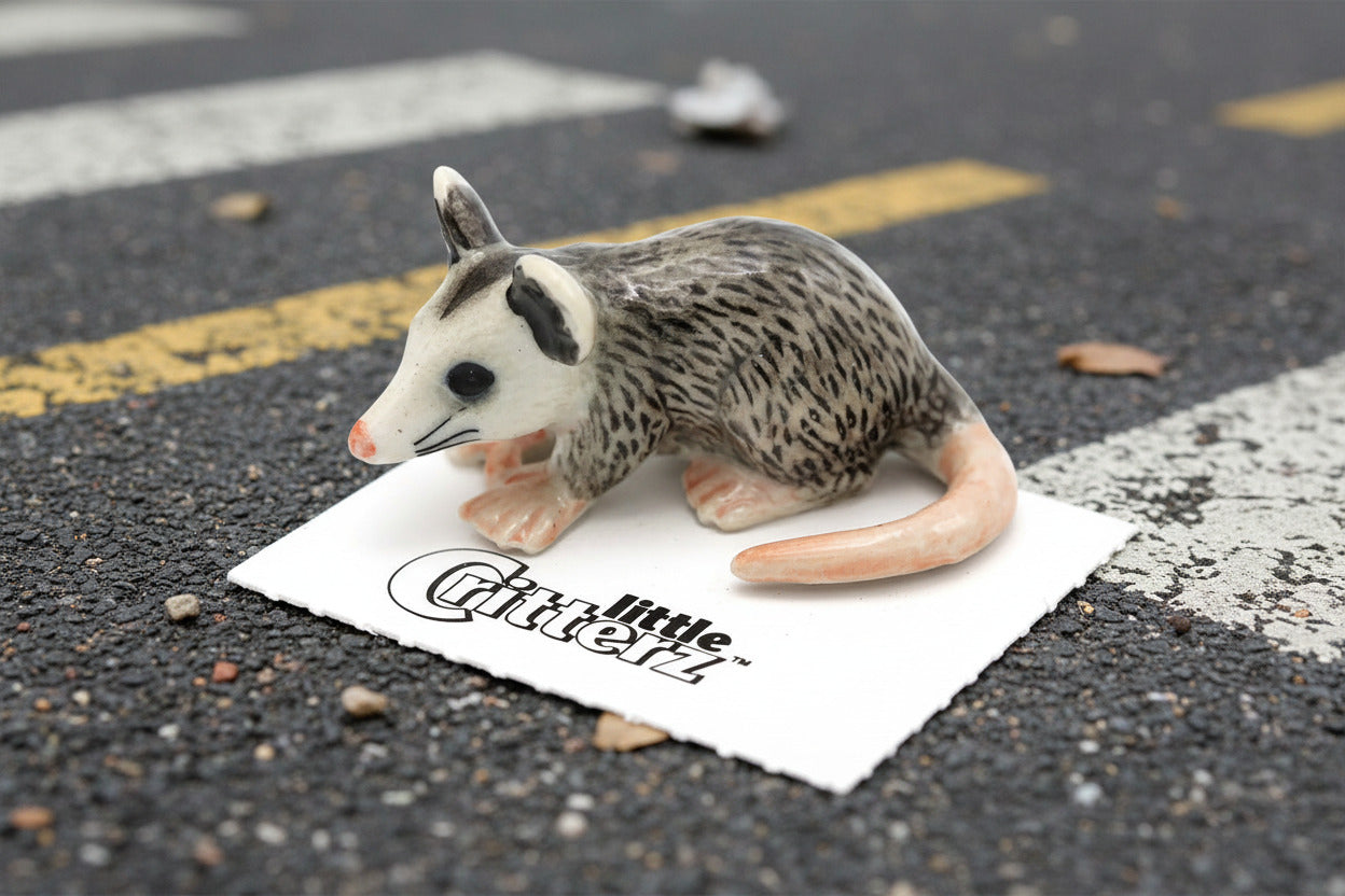 Small possum figurine on a white background with 'Little Critterz' branding.