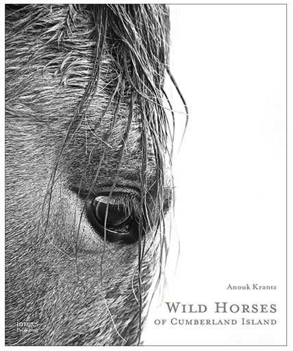 WILD HORSES OF CUMBERLAND ISLAND