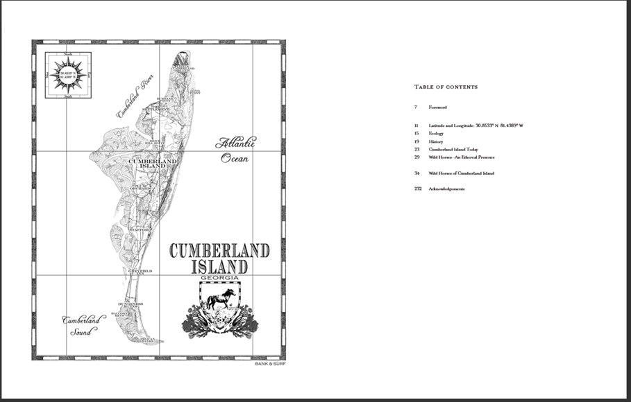 WILD HORSES OF CUMBERLAND ISLAND
