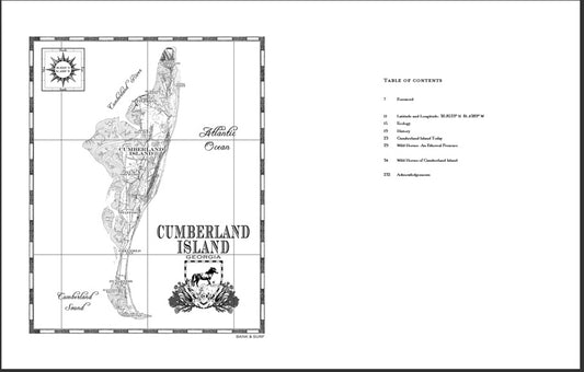 WILD HORSES OF CUMBERLAND ISLAND